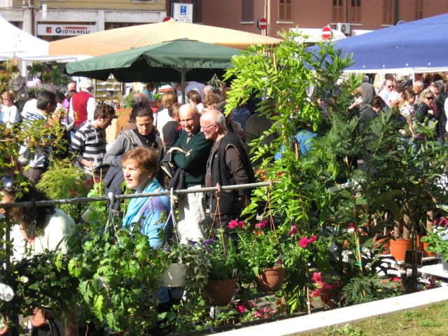 Scorcio di Argenta in fiore 2010